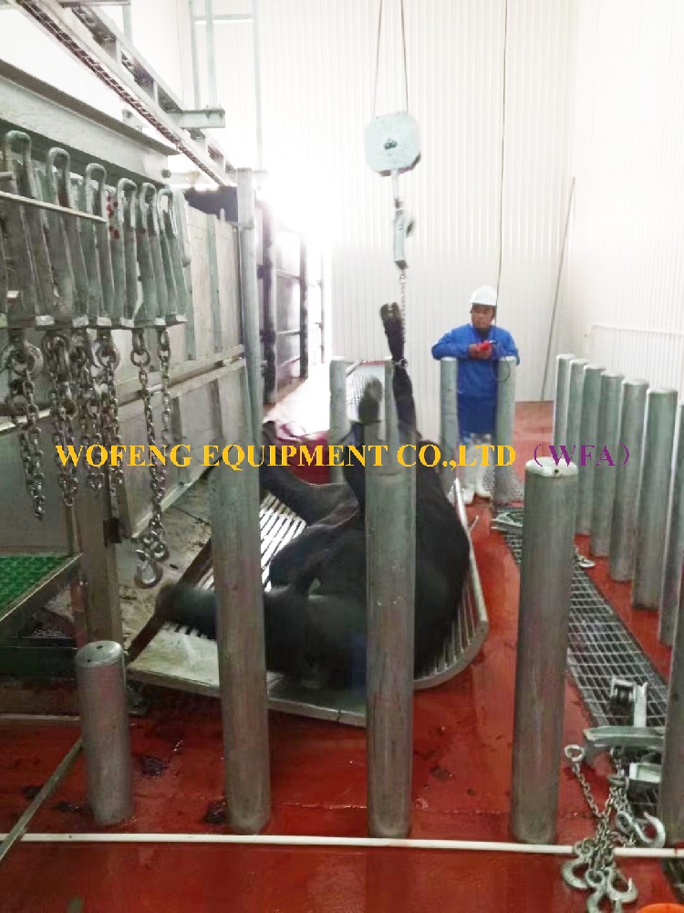 Cattle Bleeding & Hoisting System