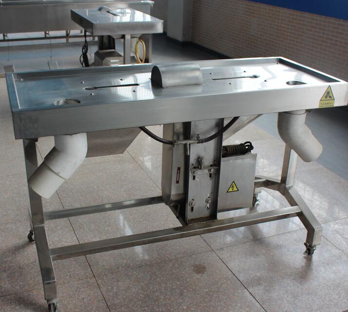 Complete Chicken / Poultry Slaughter Line
