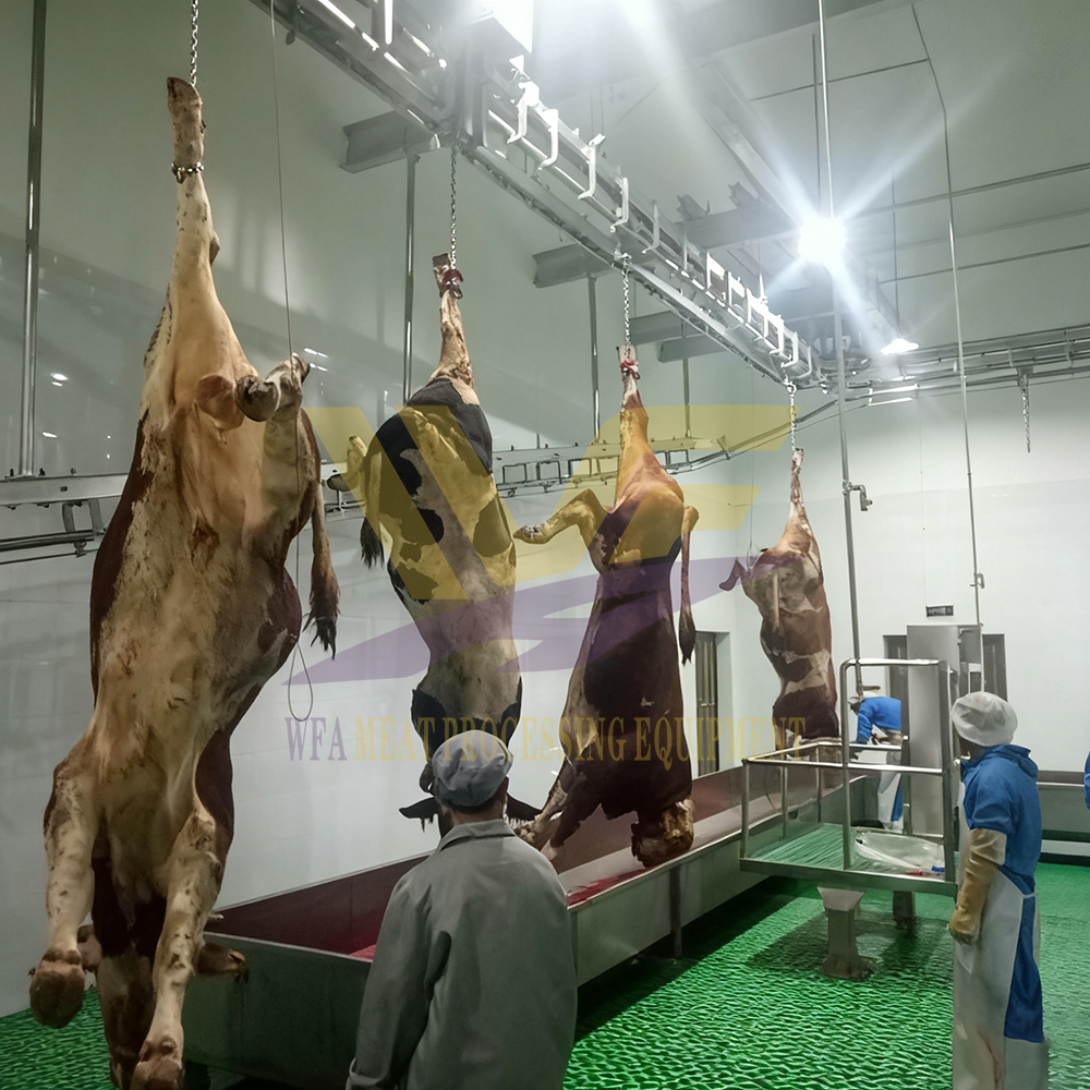 Complete Beef / Cattle Slaughter Line