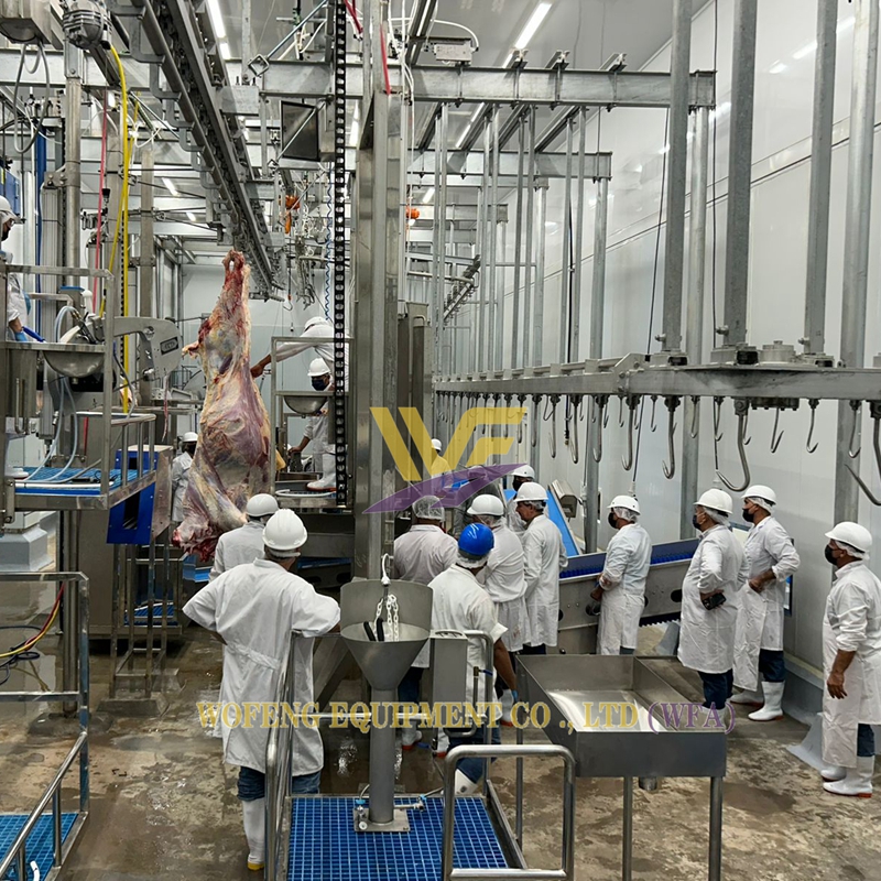 Automatic Cattle Dressing Conveyor