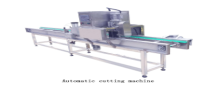 Automatic cutting machine