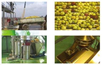 Apple/Pear Processing Line fruit juice production line