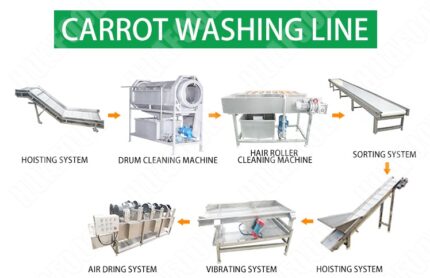 Carrot washing line