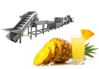 Pineapple Processing line
